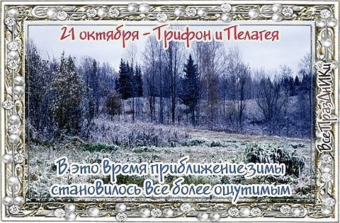 http://itd1.mycdn.me/image?id=805721961317&t=20&plc=WEB&tkn=*hIxLff8xZzmM-65CltwE1Pr81Lo