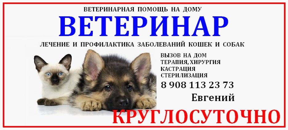 Магазин Султан Великий Устюг Часы Работы