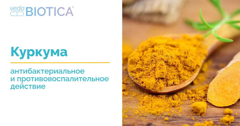 Куркума Интернет Магазин В Новосибирске
